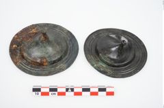 Foto von Bronzephalere (NHMW-PRAE-025823)